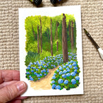 Hydrangea forest