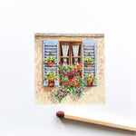 Shutters and blooms