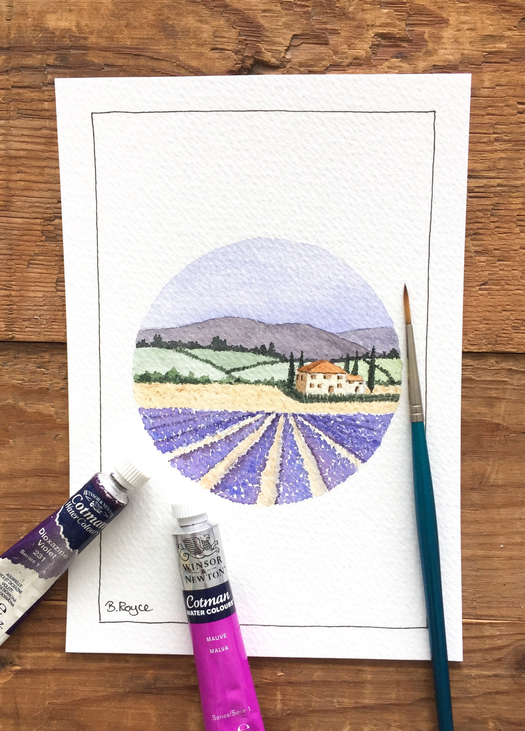 Tuscan lavender fields