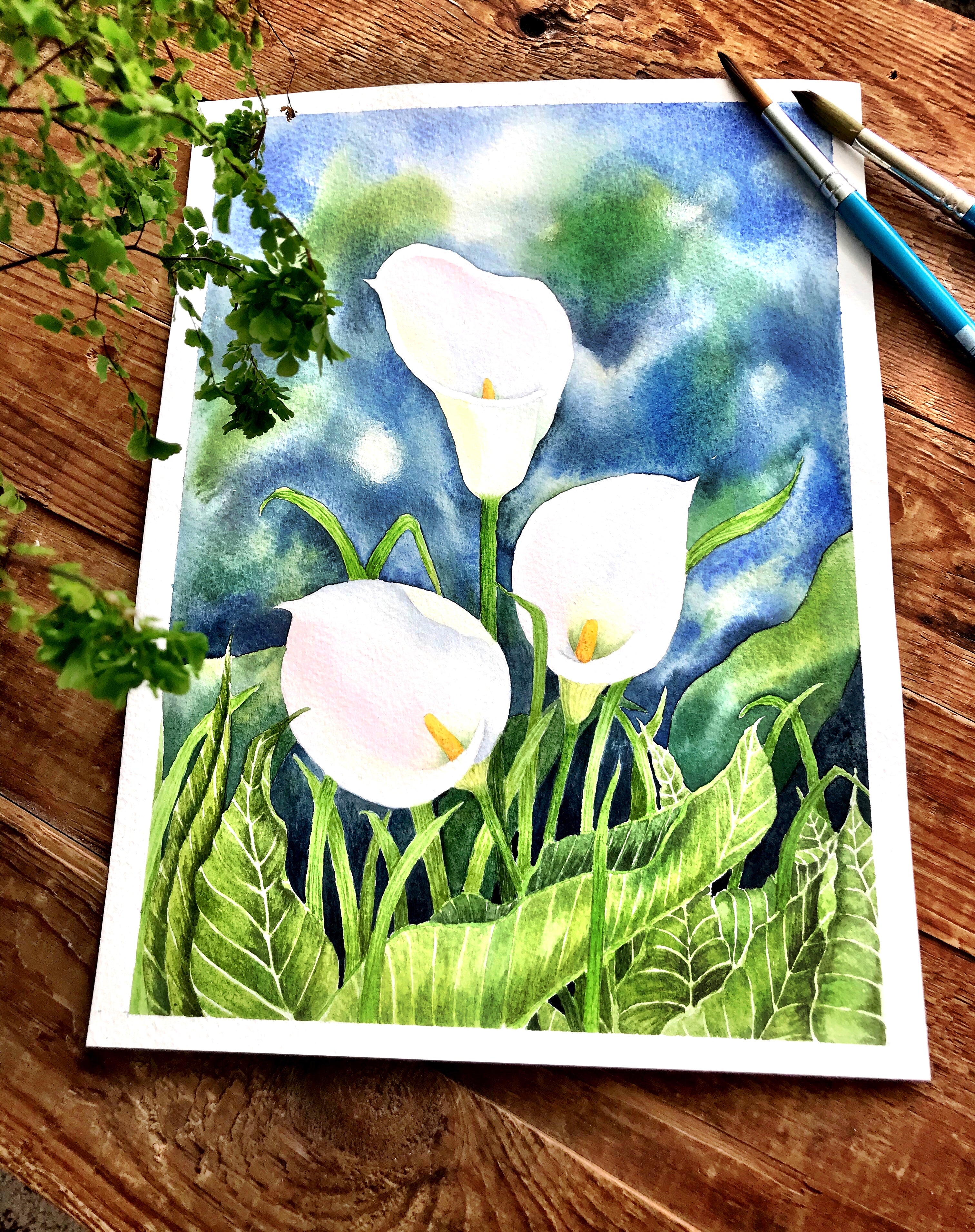 Calla lilies