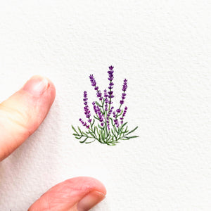 Wild lavender