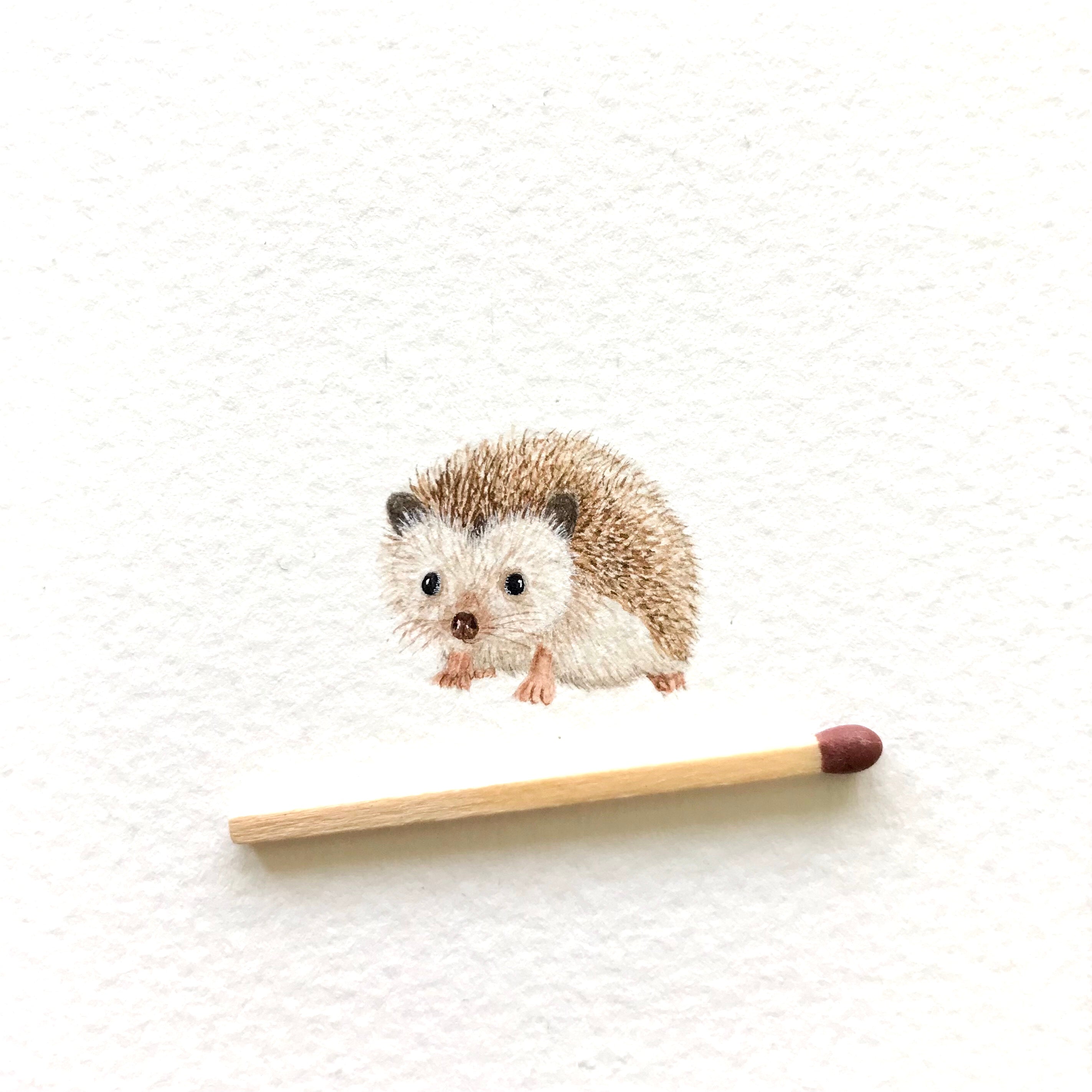 Hedgehog