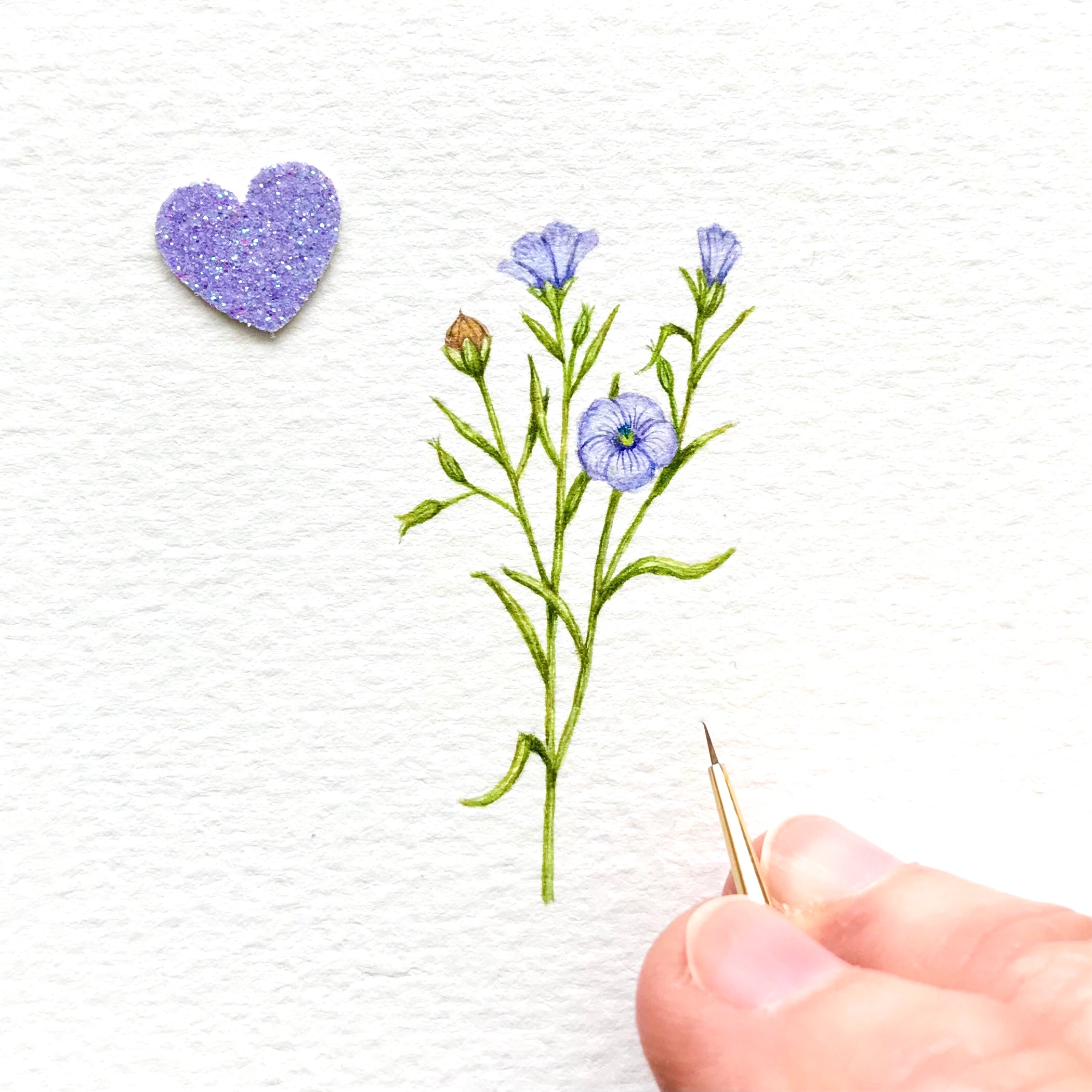 Flax flowers