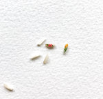 Floral rice