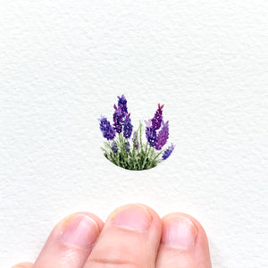 L is for lavender