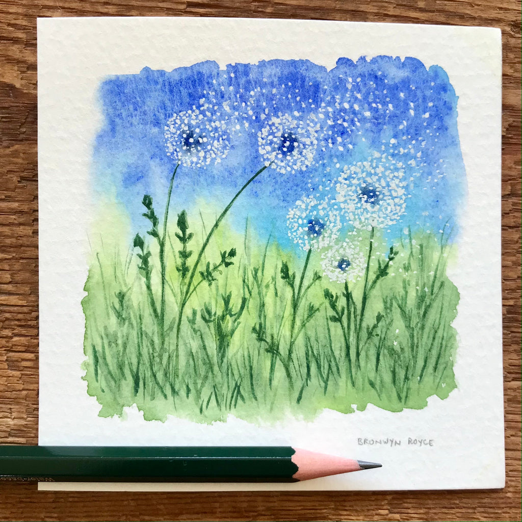 Dandelions in the breeze