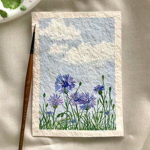 Cornflowers in baby blue