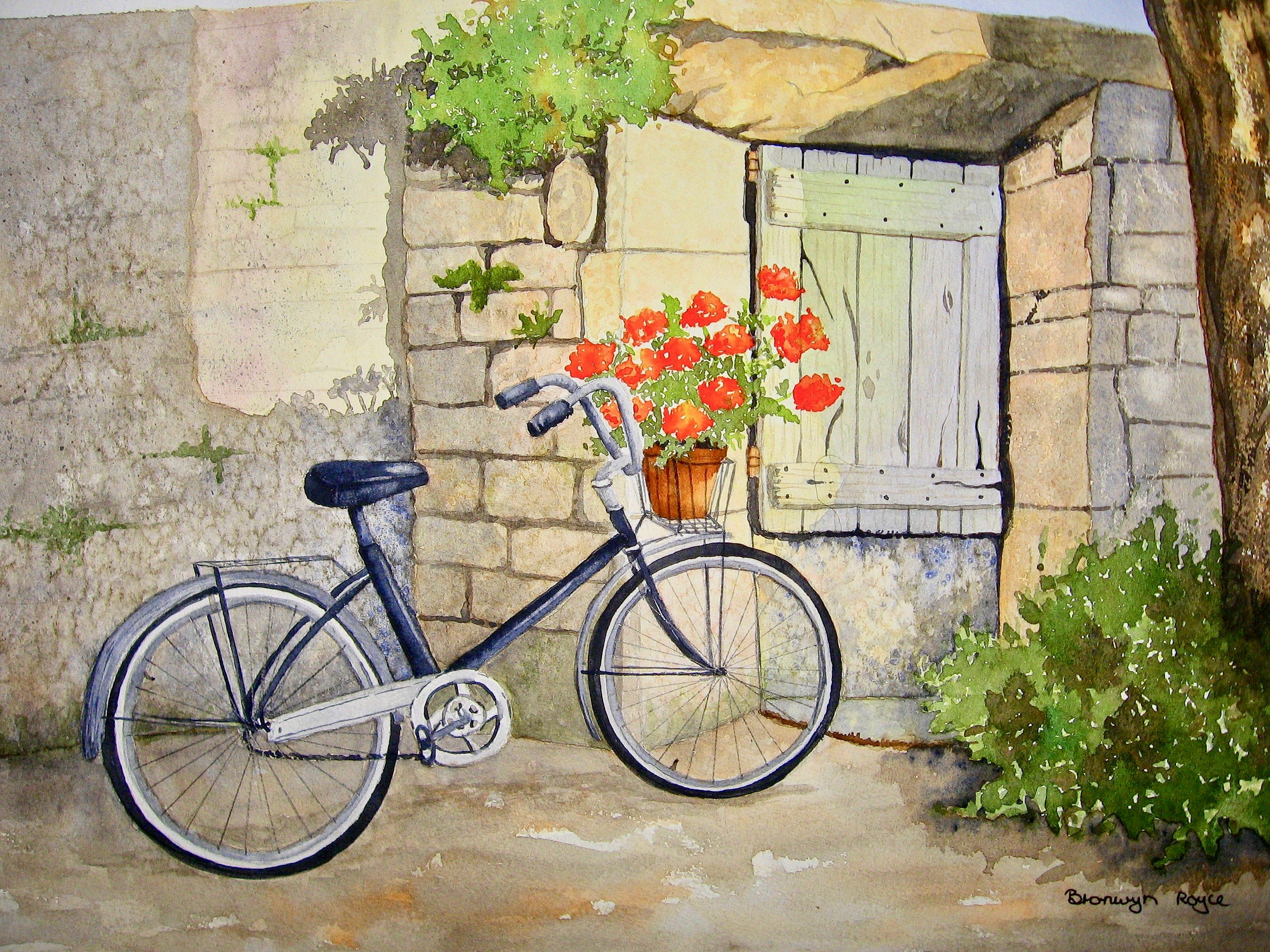 Bicycle and geraniums