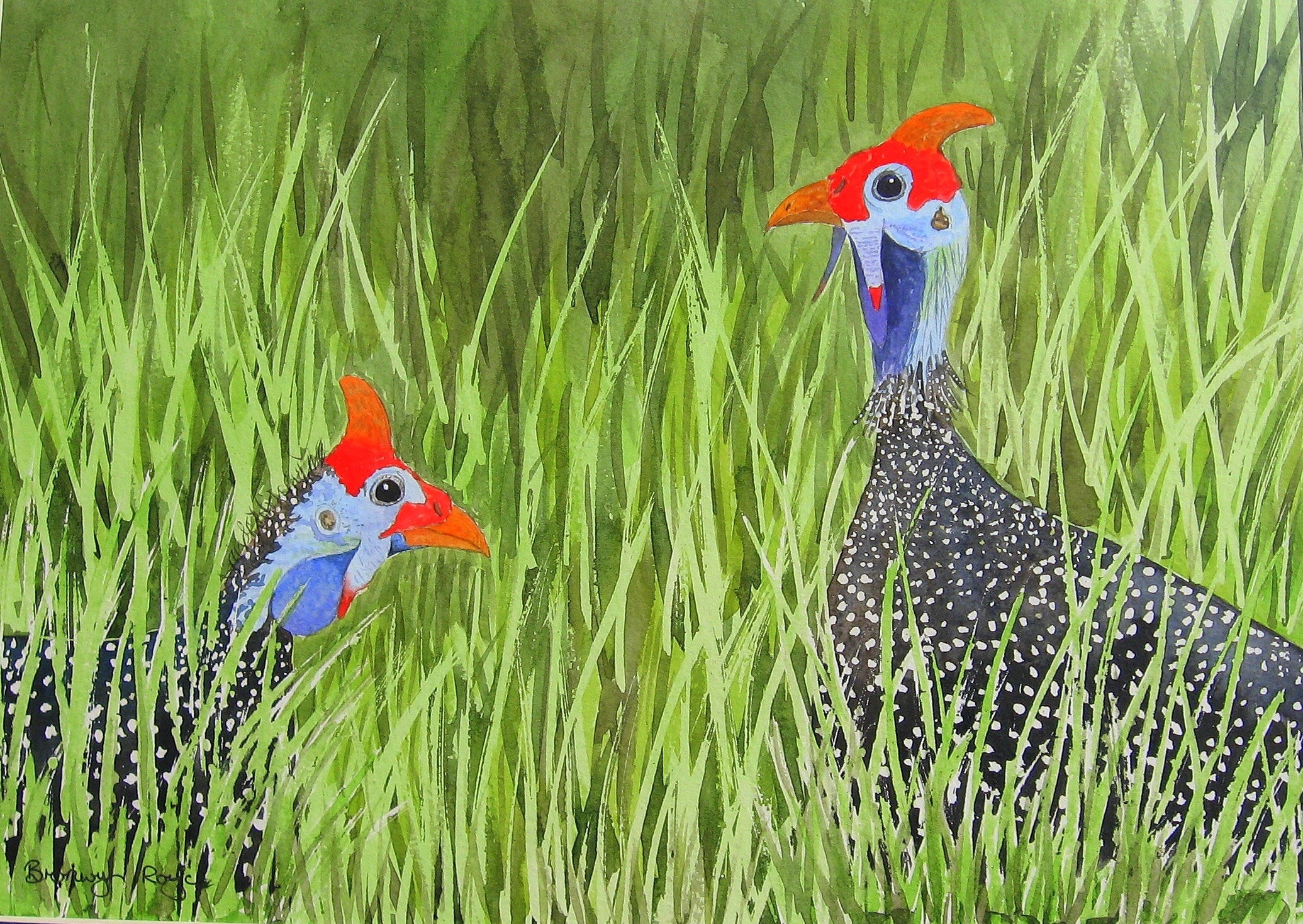 Gregarious guineafowl