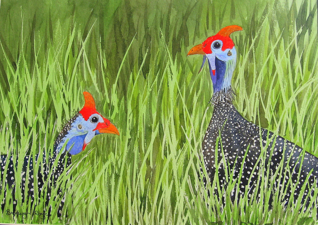 Gregarious guineafowl